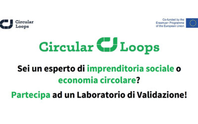 Circular Loops: Validation laboratory for circular and social economy experts