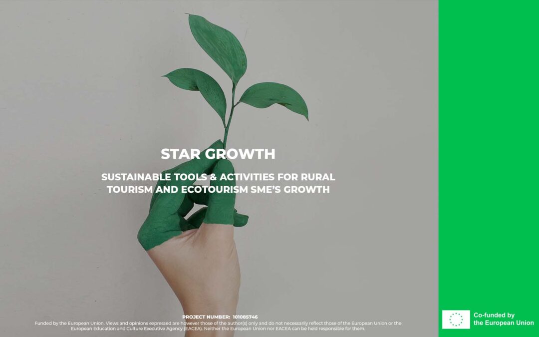 STAR GROWTH – Grow your business